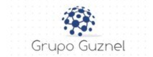 Grupo Guznel - Consulting