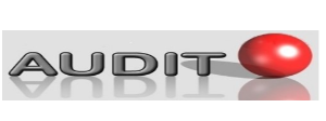 Audit