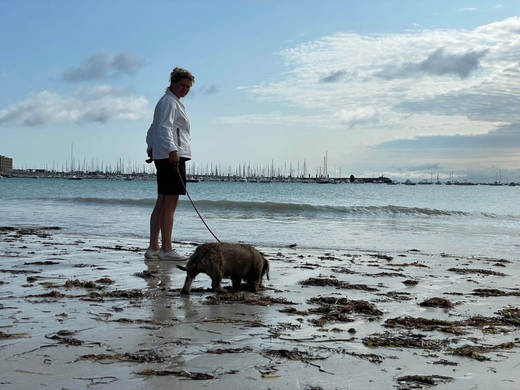 Zeilvakantie 2021 in foto's