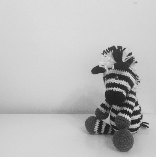 Debra the Zebra: Made to order - main product image