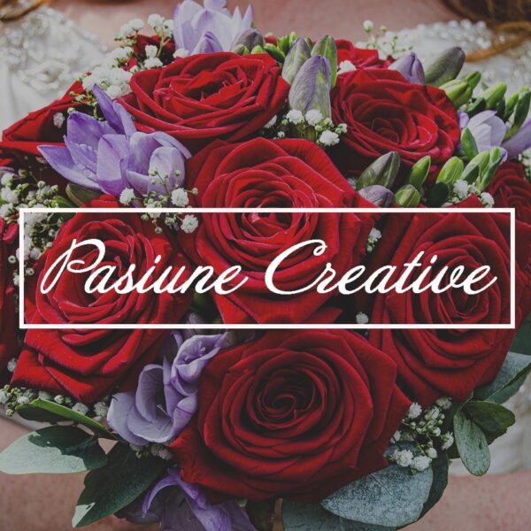 Pasiune Creative Store shop logo