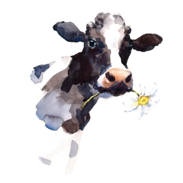 Daisy Cow (Watercolour) - main product image