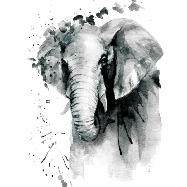 Elephant (Watercolour) - main product image
