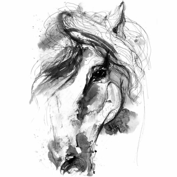 Horse (Watercolour and Sketch) - main product image