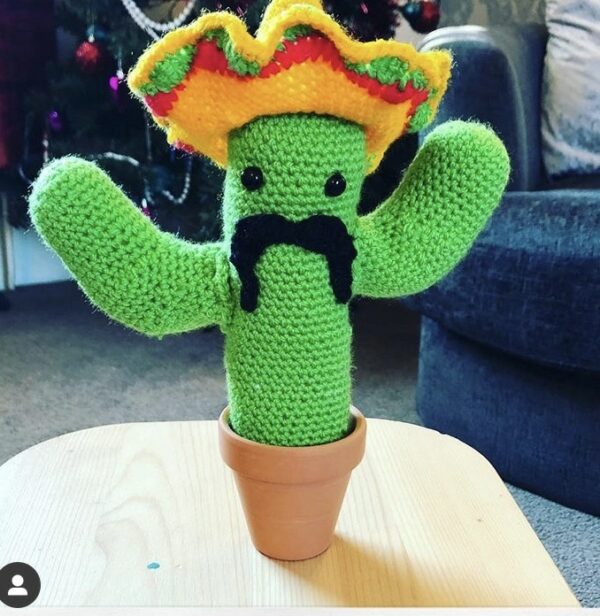 Mexican inspired cactus - main product image