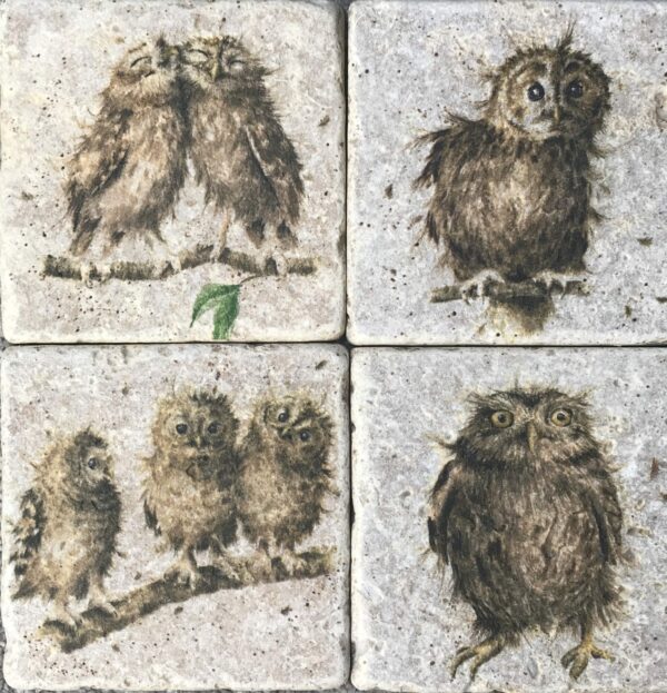 Twit Twoo! Owl natural stone coasters - main product image