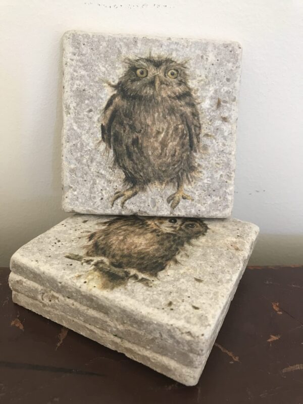 Twit Twoo! Owl natural stone coasters - product image 2