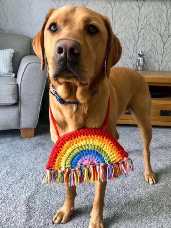 Large Crochet Rainbow for the NHS - product image 5