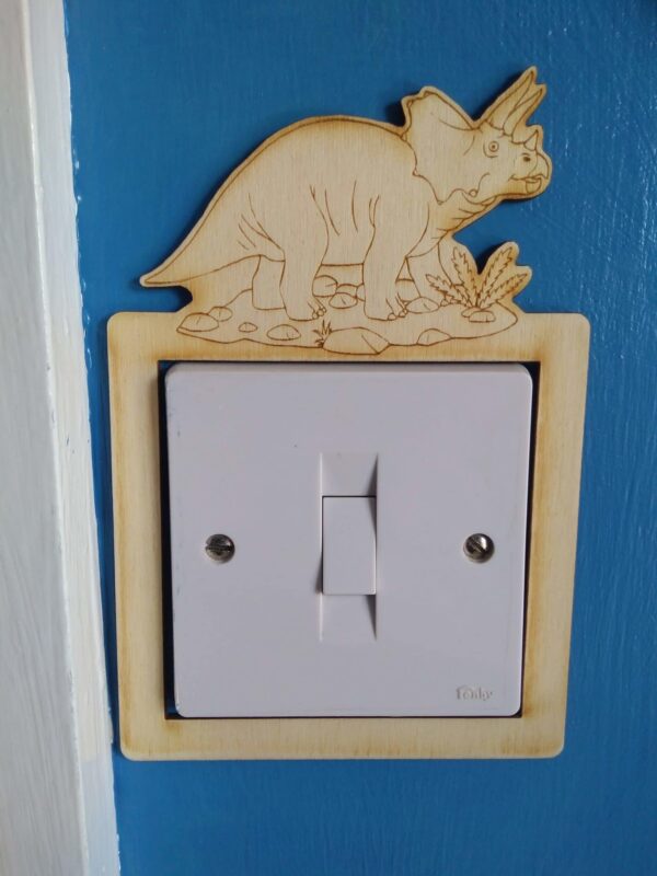 Light switch surround - product image 3