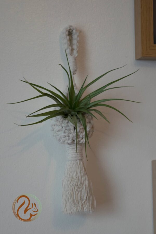 Macrame Plant Holder - product image 2