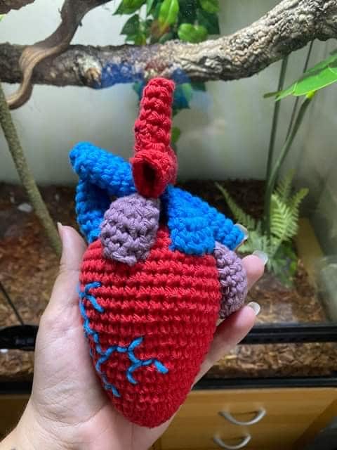 Crochet Anatomical Heart - product image 3