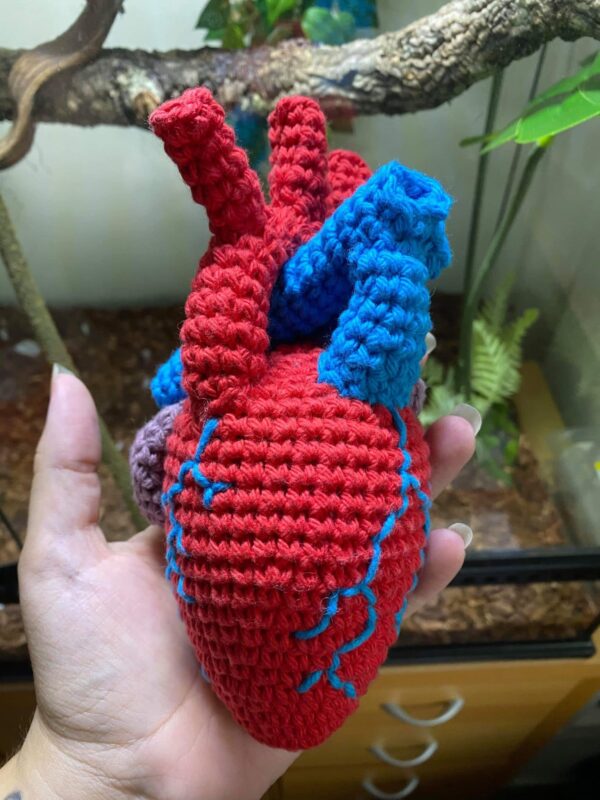 Anatomical Heart crochet pattern - product image 5