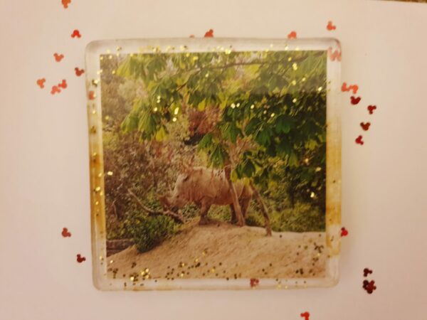 Safari Coasters - product image 4