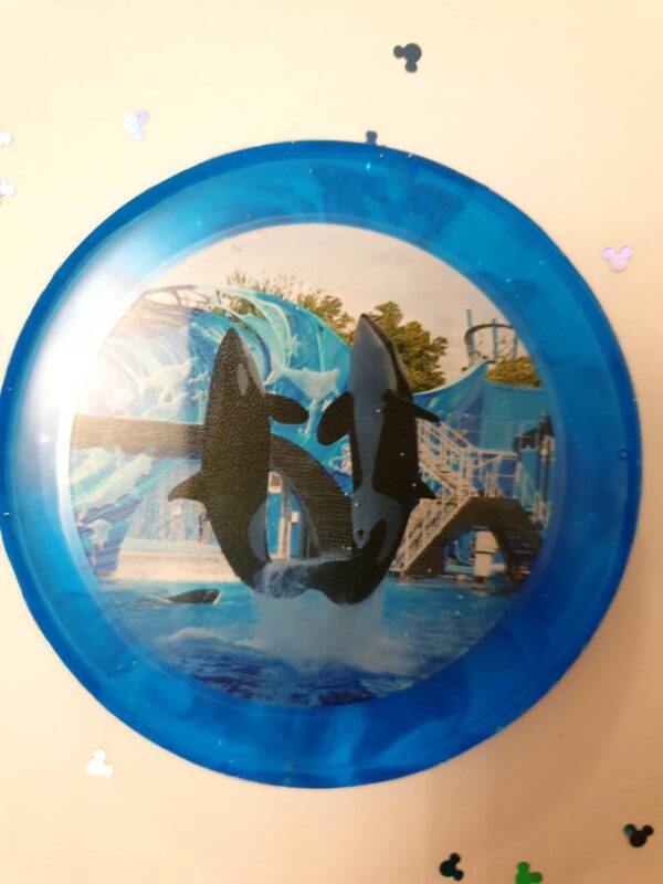 Orca Coasters - main product image