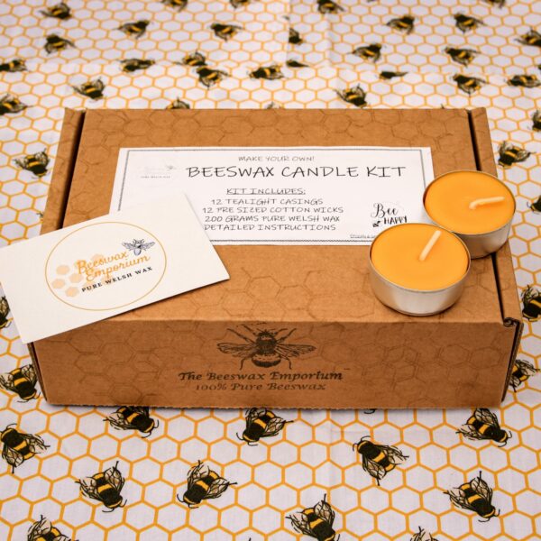 Beeswax craft kit – make your own tealights - main product image