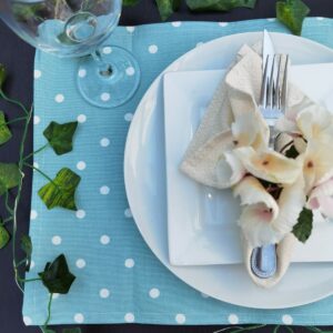 White Polka Sky Placemats