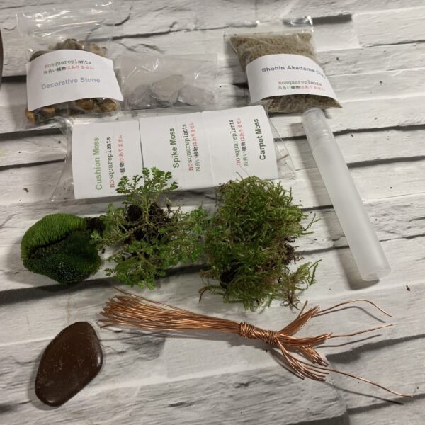 Terrarium kit with triple live moss & wire tree centerpiece. Everything needed to create your own - product image 5