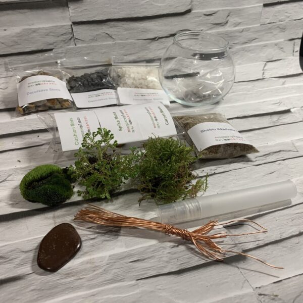 Terrarium kit with triple live moss & wire tree centerpiece. Everything needed to create your own - product image 4