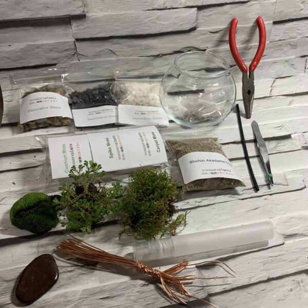 Terrarium kit with triple live moss & wire tree centerpiece. Everything needed to create your own - product image 2