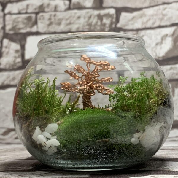 Terrarium kit with triple live moss & wire tree centerpiece