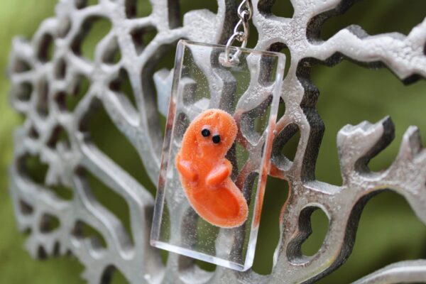 Resin Baked Beanie Bean keyring - main product image