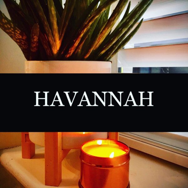 Havannah shop logo