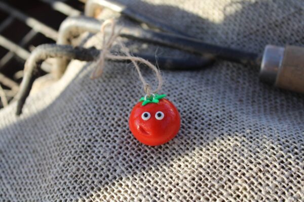 Greenhouse Allotment Veg Pals - product image 3