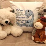 Personalised Embroidered Dinosaur cushion includes birth statistics