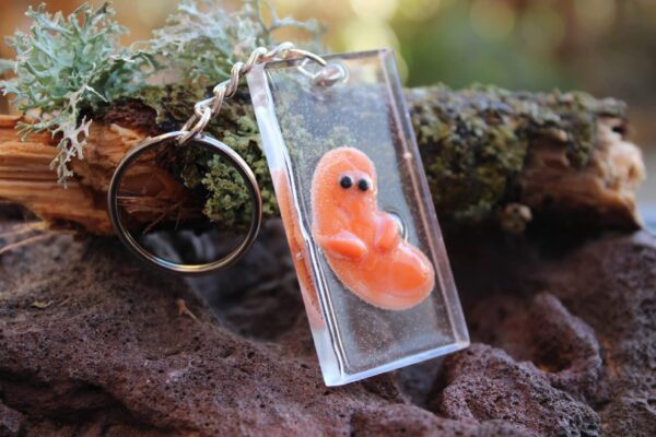 Resin Baked Beanie Bean keyring - product image 2