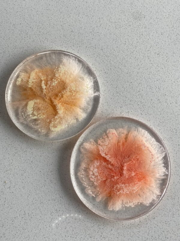 Orange Peach Resin Alcohol Ink Coaster - product image 3