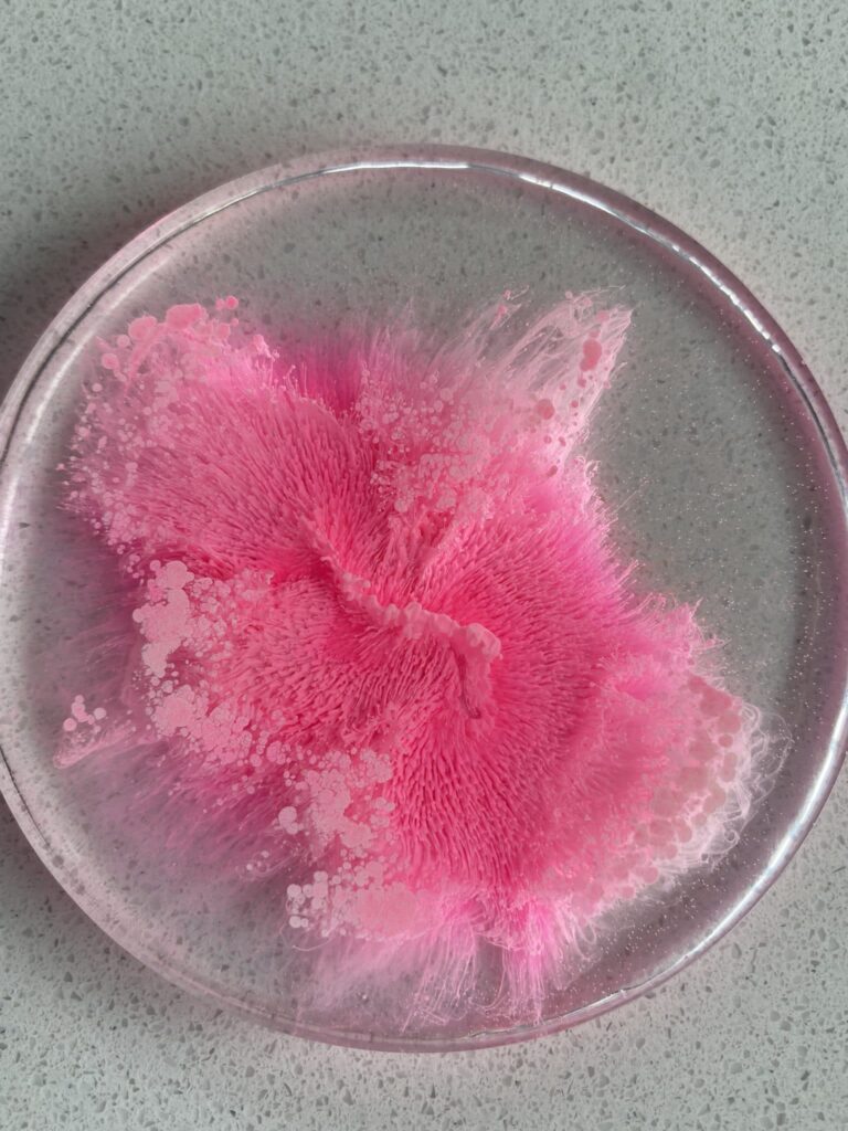 Bright Pink Alcohol Ink Resin Coaster