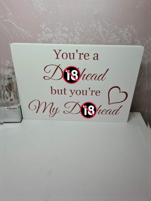 Novelty “You’re a D***head” plaque - main product image