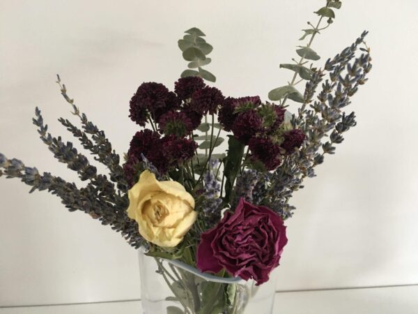 Products of the Week: 5th – 11th April 2021: placeholder image (loading)