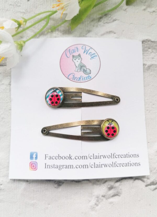 Ladybird hair slides - main product image