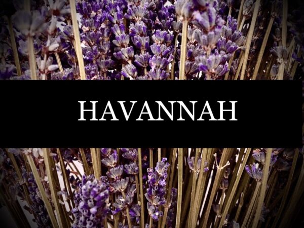 Havannah shop logo