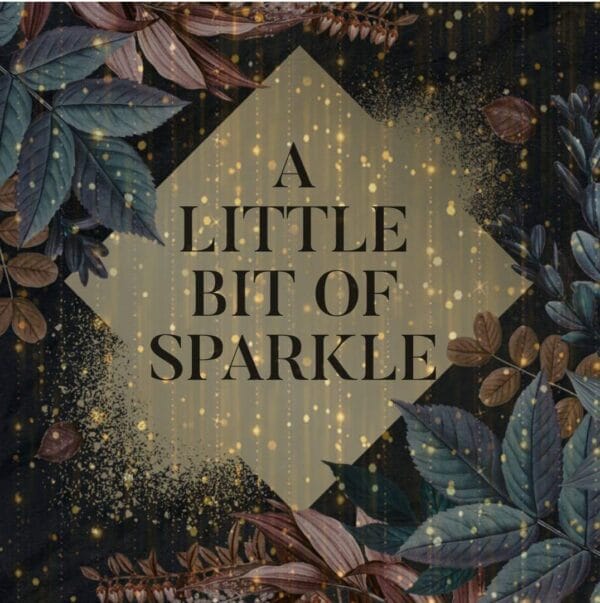 A Little bit of sparkle shop logo