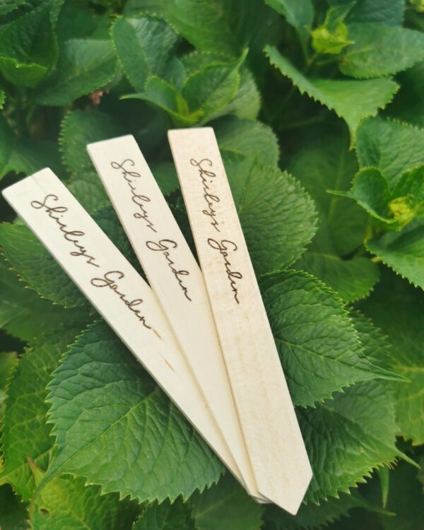 Personalised Plant Markers - main product image