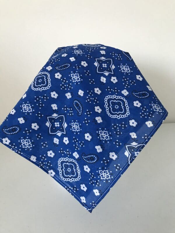 Head scarf / bandana - product image 2