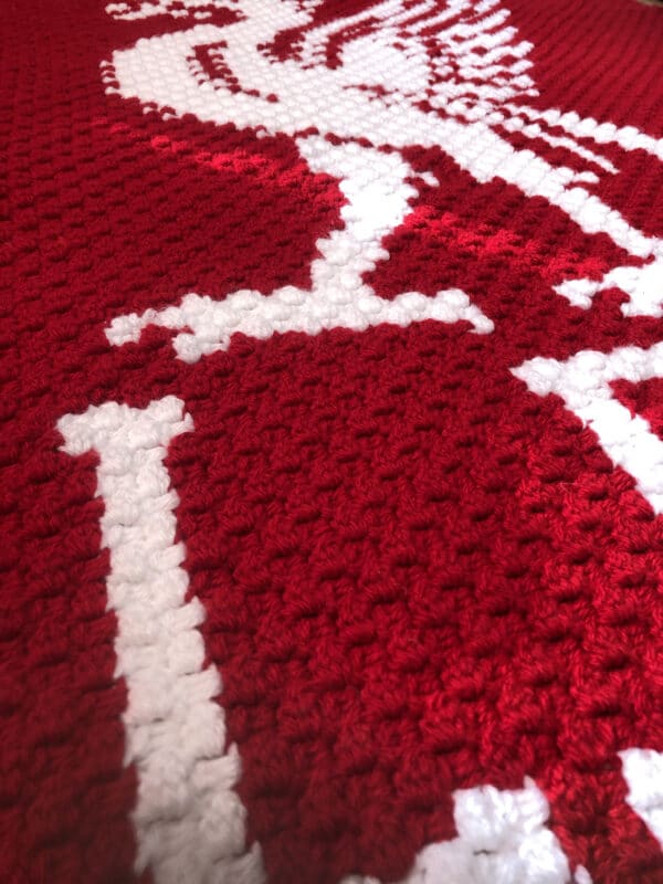 Liverpool Football Club Blanket (Made to Order) - main product image