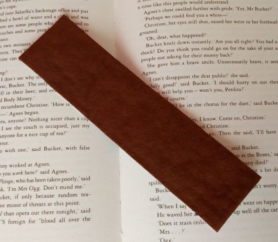 Eel and Bullrushes Cross Stitch Bookmark - product image 2