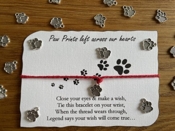 Paw wish bracelet - main product image