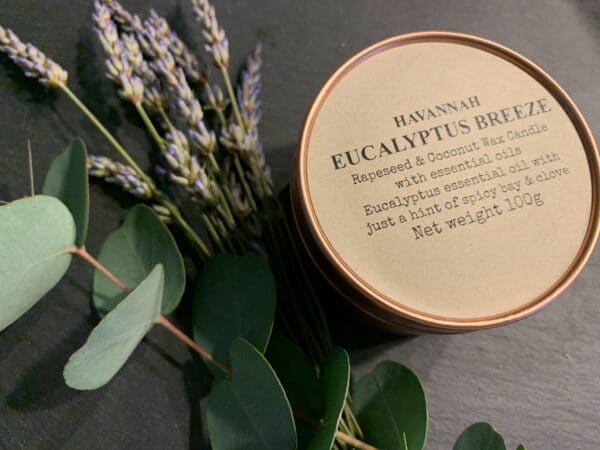 Eucalyptus Breeze rapeseed and coconut wax candle - product image 2