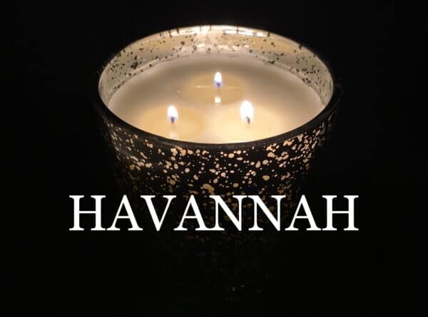 Products of the Week – 15th to 21st November 2021: placeholder image (loading)