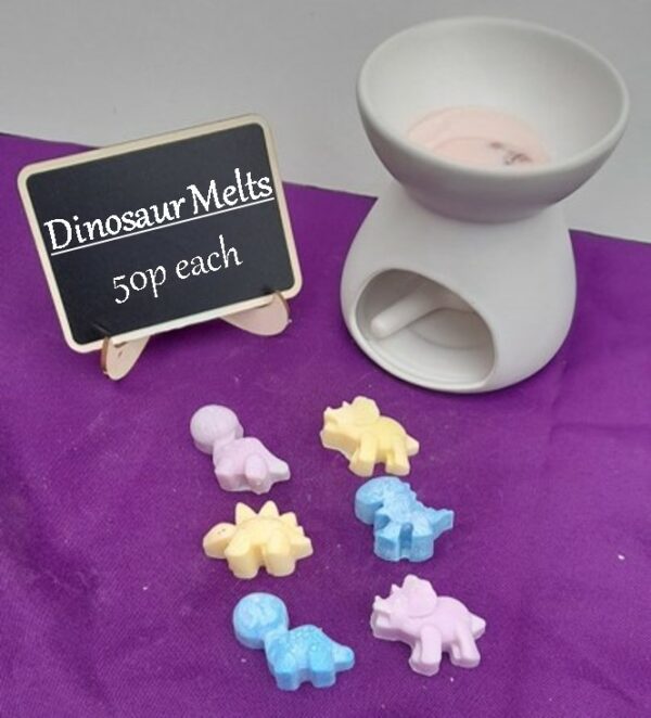 Dinosaur Wax Melts - main product image