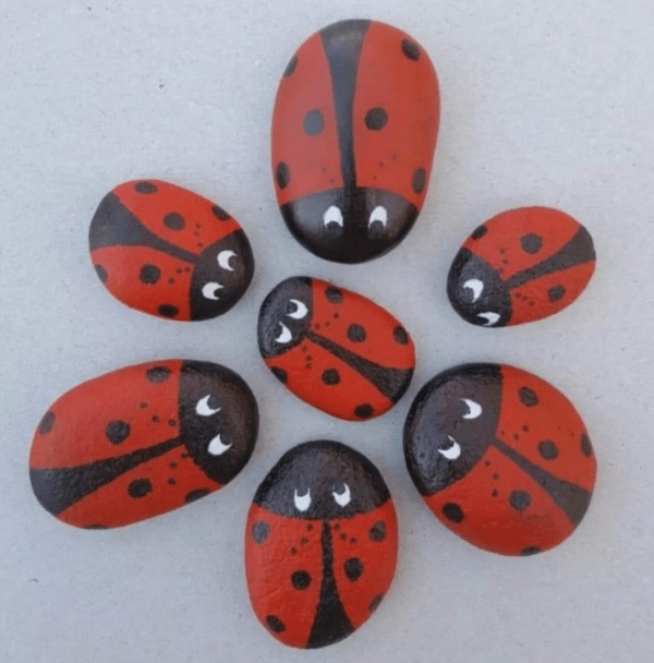 Hand painted pebbles- Ladybirds - main product image