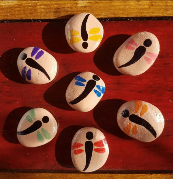Hand painted pebbles- Dragonflies - main product image
