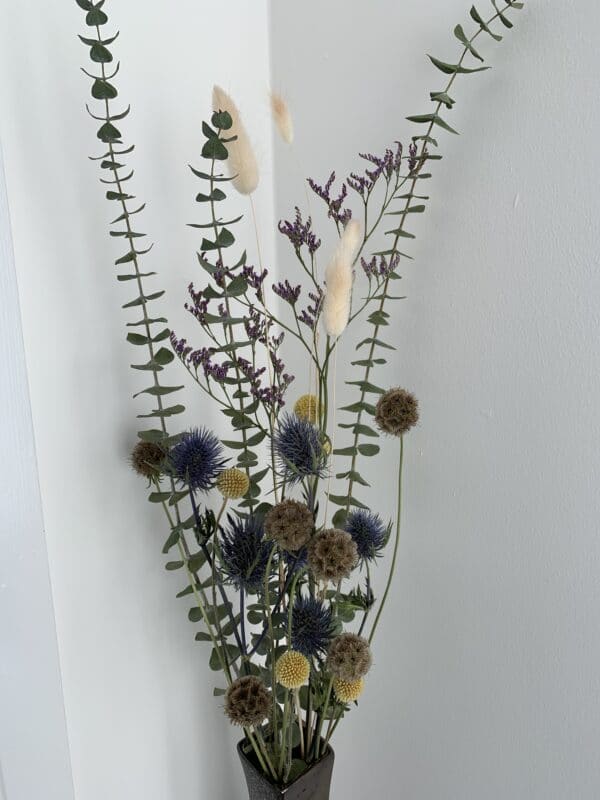 Products of the Week – 28th February to 6th March 2022: placeholder image (loading)