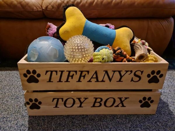 Dog Toy Crate - main product image