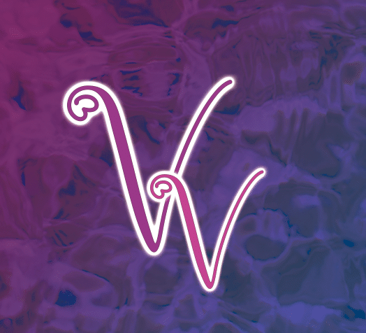 Vivid Variations shop logo