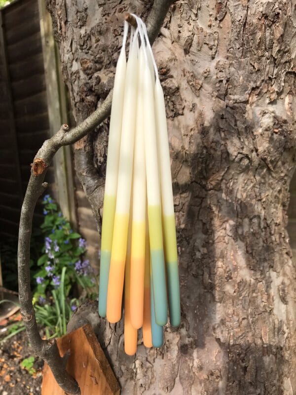 Products of the Week – 9th to 15th May 2022: placeholder image (loading)